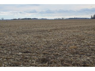 Property photo 35 - LAND AUCTION - 276.5+/- ACRES OFFERED IN 5 TRACTS IN EAST ALLEN COUNTY